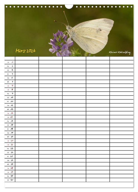 Produktbild: Schmetterlinge in Bayern (Wandkalender 2026 DIN A3 hoch), CALVENDO Monatskalender