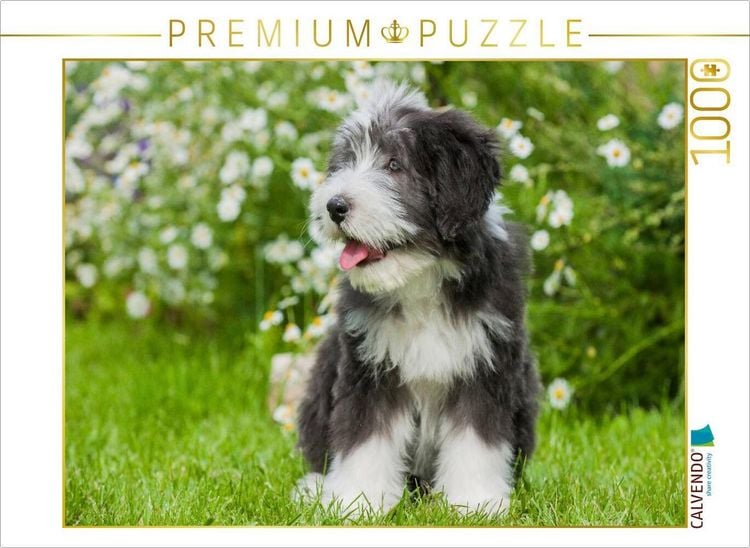 Produktbild: CALVENDO Puzzle Bearded Collie Welpe | 1000 Teile Lege-Gr&ouml;&szlig;e 64x48cm Foto-Puzzle f&uuml;r gl&uuml;ckliche Stunden