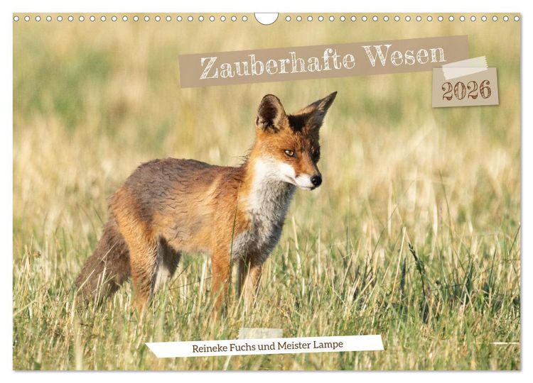 Produktbild: Zauberhafte Wesen - Reineke Fuchs und Meister Lampe (Wandkalender 2026 DIN A3 quer), CALVENDO Monatskalender