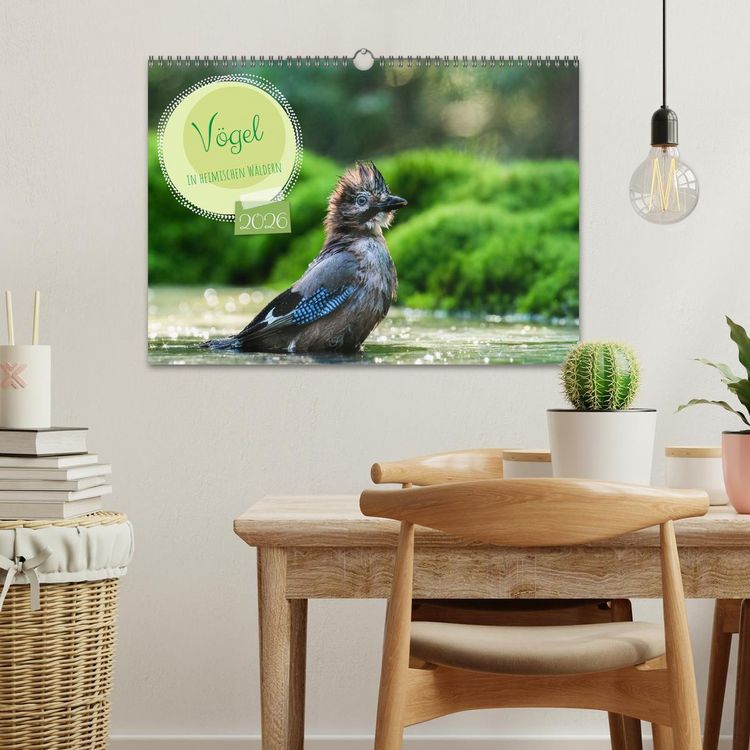 Produktbild: V&ouml;gel in heimischen W&auml;ldern (Wandkalender 2026 DIN A3 quer), CALVENDO Monatskalender