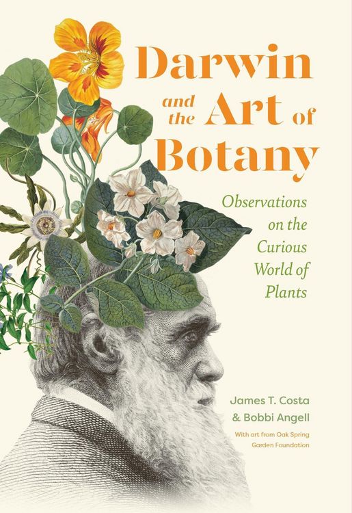 Produktbild: Darwin and the Art of Botany