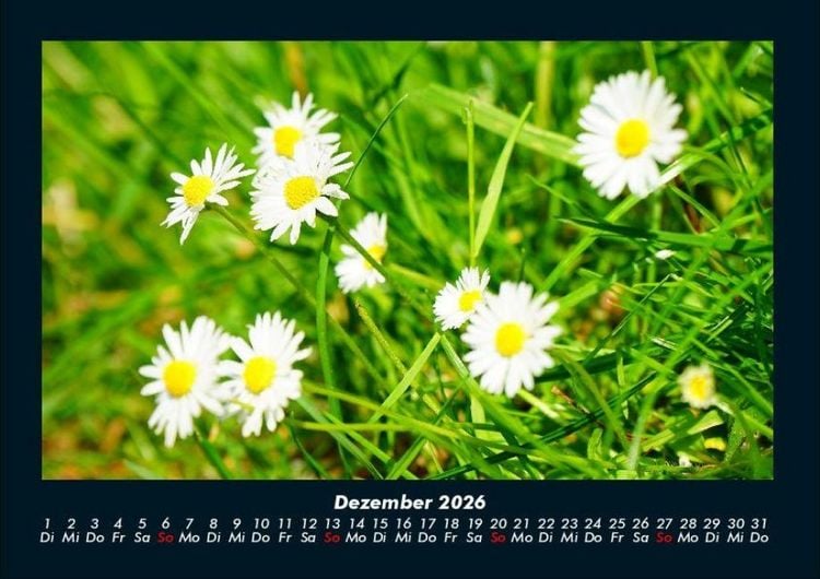 Produktbild: Blumenzauber 2026 Fotokalender DIN A4