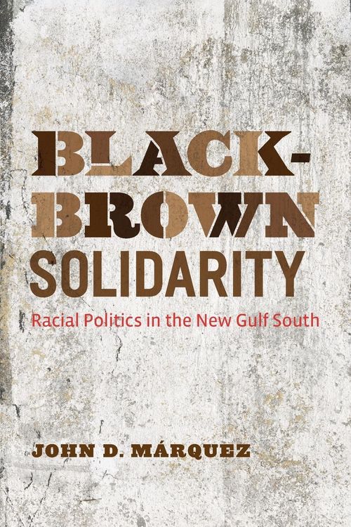 Produktbild: Black-Brown Solidarity