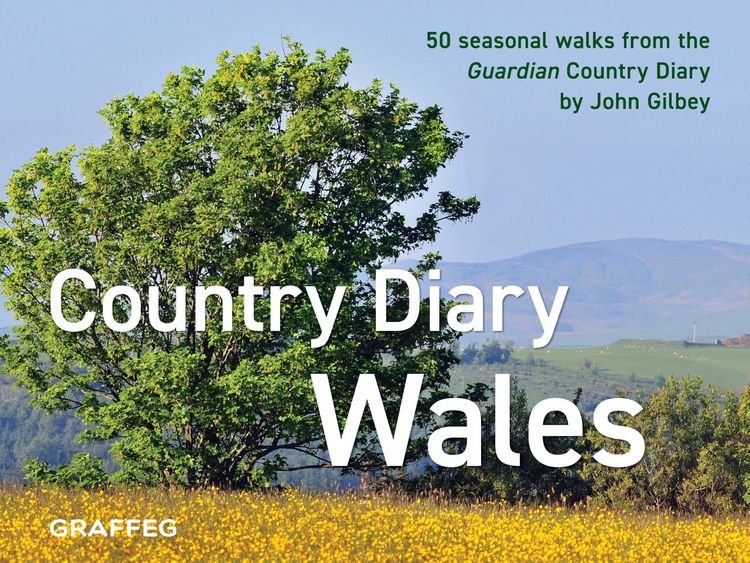 Produktbild: Country Diary in Wales
