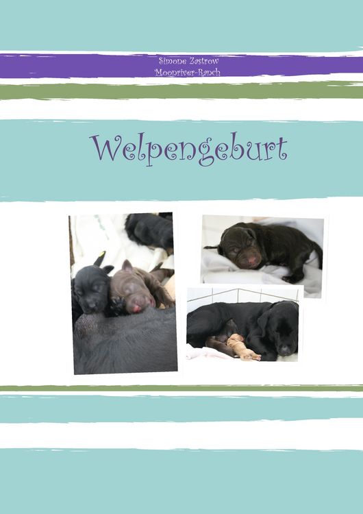 Produktbild: Welpengeburt