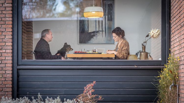 Produktbild: Und wer nimmt den Hund?