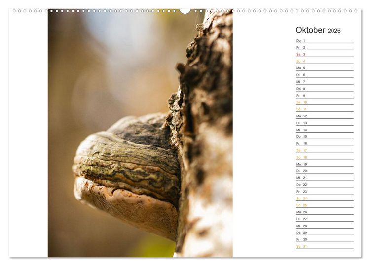 Produktbild: Kleine Wunder vor der Haust&uuml;r (hochwertiger Premium Wandkalender 2026 DIN A2 quer), Kunstdruck in Hochglanz