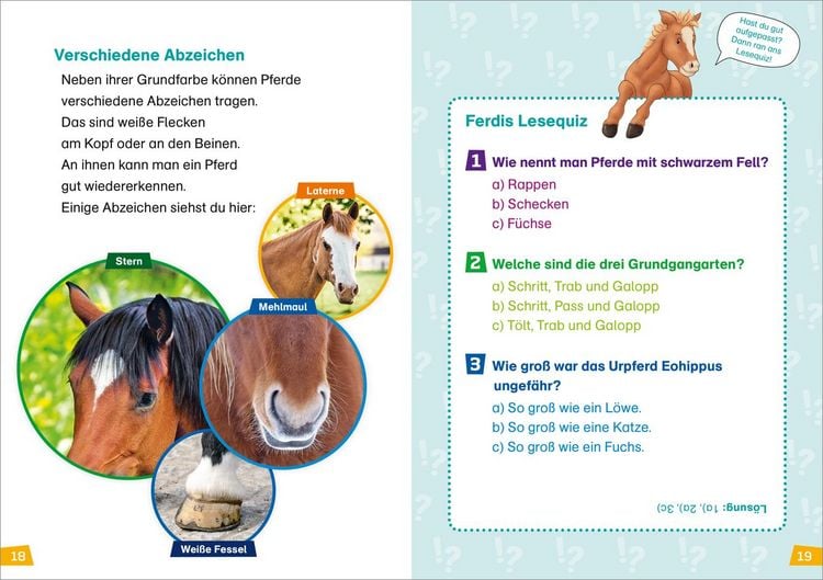 Produktbild: WAS IST WAS Erstes Lesen Band 7. Pferde und Ponys