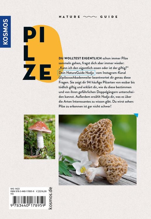 Produktbild: Nature Guide Pilze