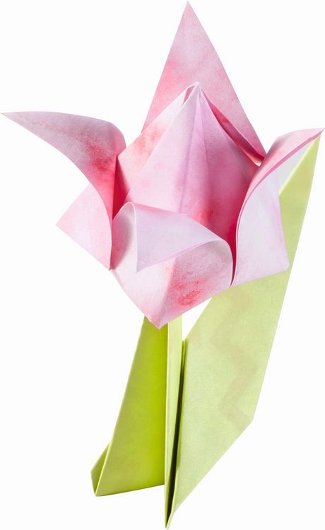 Produktbild: Folia  Faltbl&auml;tter Set BL&Uuml;TEN, 50 Blatt in 15x15cm, 120 Blatt in 7,5x7,5cm