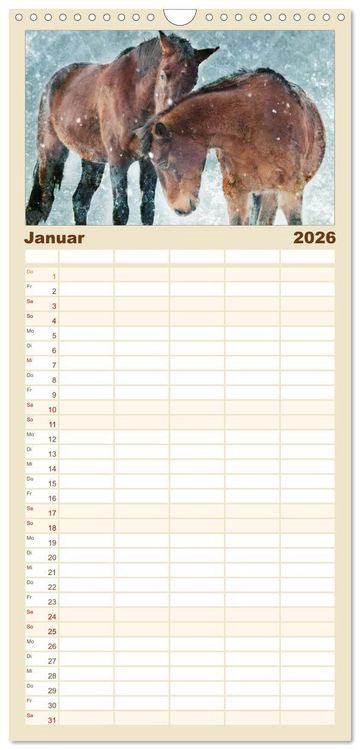 Produktbild: Familienplaner 2026 - Pferde zum Tr&auml;umen mit 5 Spalten (Wandkalender, 21 x 45 cm) CALVENDO