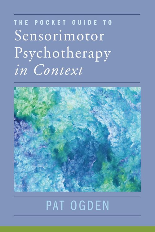 Produktbild: The Pocket Guide to Sensorimotor Psychotherapy in Context