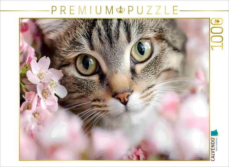 Produktbild: CALVENDO Puzzle Wundersch&ouml;ne Tigerkatze im Fr&uuml;hling | 1000 Teile Lege-Gr&ouml;&szlig;e 64x48cm Foto-Puzzle f&uuml;r gl&uuml;ckliche Stunden