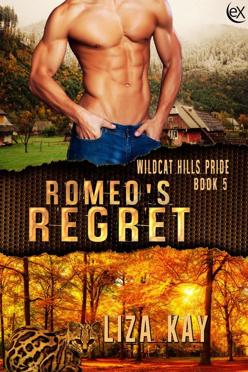 Produktbild: Romeo's Regret (Wildcat Hills Pride, #5)