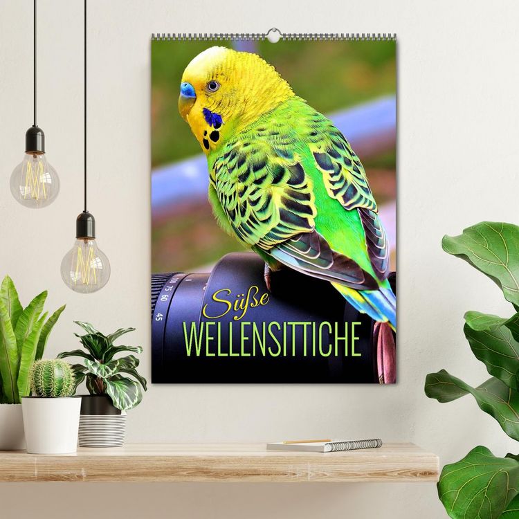 Produktbild: S&uuml;&szlig;e Wellensittiche (Wandkalender 2026 DIN A2 hoch), CALVENDO Monatskalender