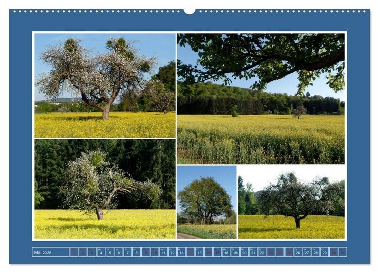 Produktbild: Collagen aus Eifel und Umland 2026 (hochwertiger Premium Wandkalender 2026 DIN A2 quer), Kunstdruck in Hochglanz