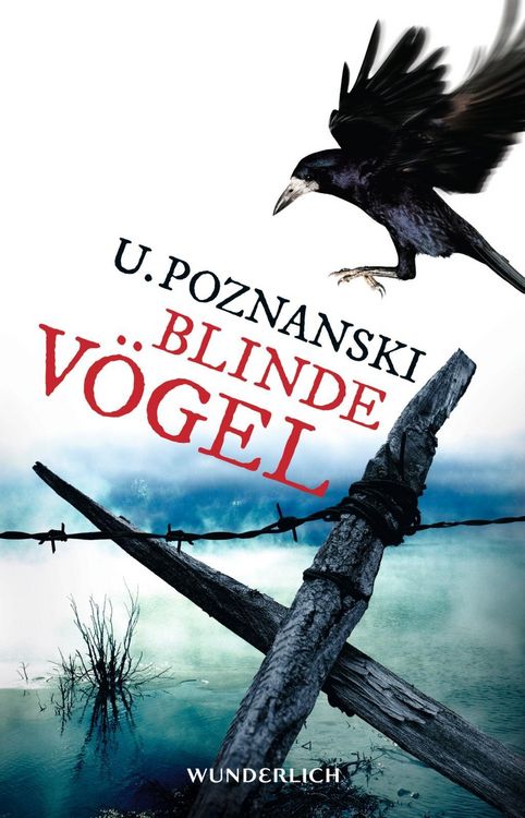 Produktbild: Blinde V&ouml;gel / Beatrice Kaspary Bd.2