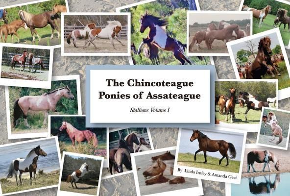 Produktbild: The Chincoteague Ponies of Assateague