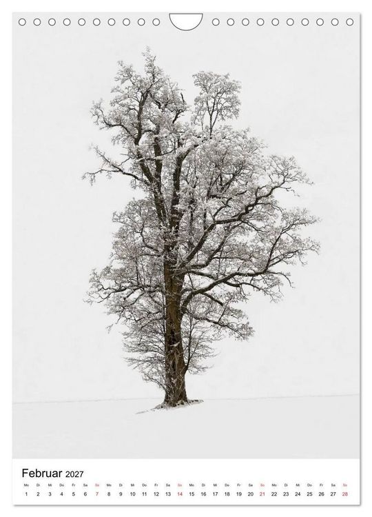 Produktbild: B&auml;ume (Wandkalender 2027 DIN A4 hoch), CALVENDO Monatskalender