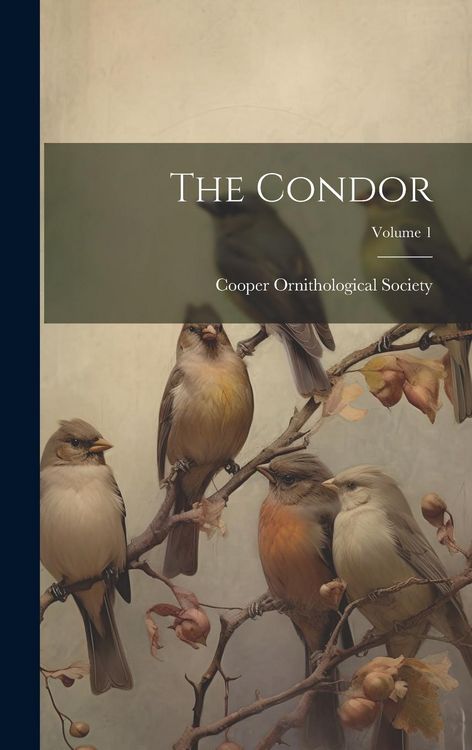 Produktbild: The Condor; Volume 1