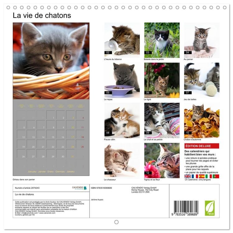 Produktbild: La vie de chatons (Calendrier mural carr&eacute; 2026 30x30 cm) Calendrier double avec une page pour vos prises de notes