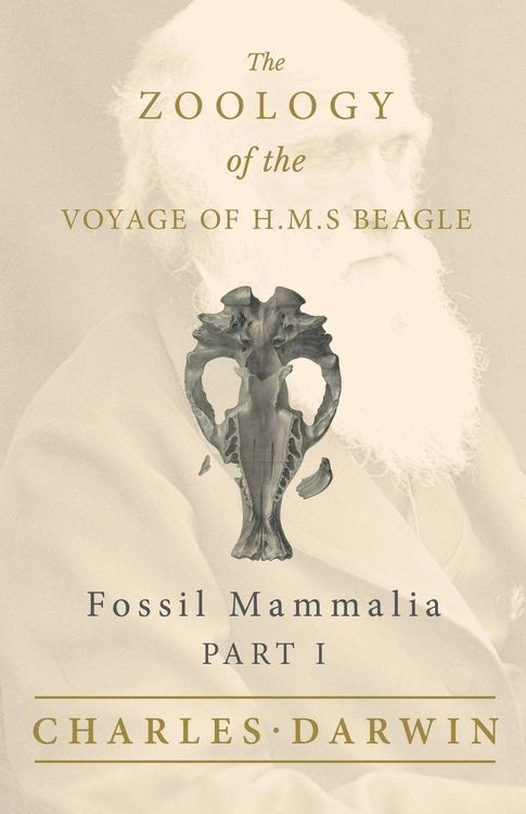 Produktbild: Fossil Mammalia - Part I - The Zoology of the Voyage of H.M.S Beagle ; Under the Command of Captain Fitzroy - During the Years 1832 to 1836