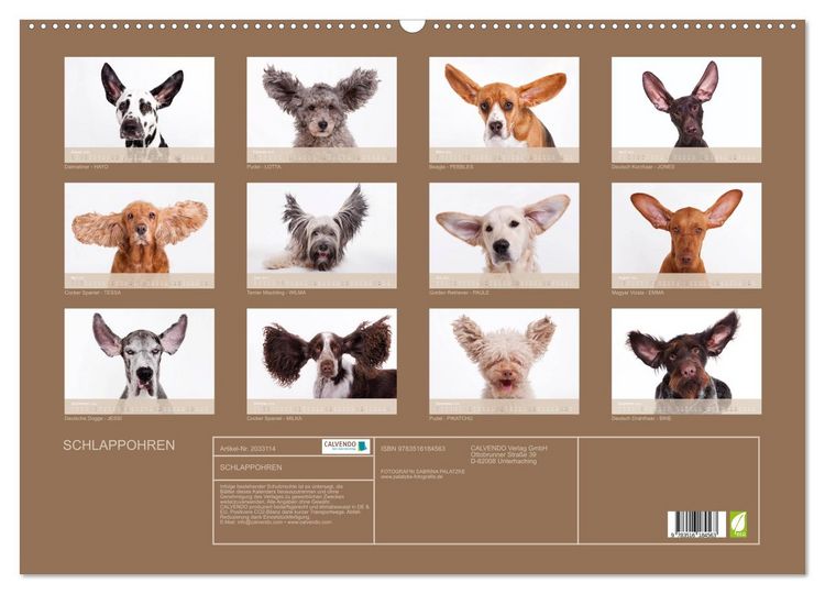 Produktbild: SCHLAPPOHREN (Wandkalender 2026 DIN A2 quer), CALVENDO Monatskalender