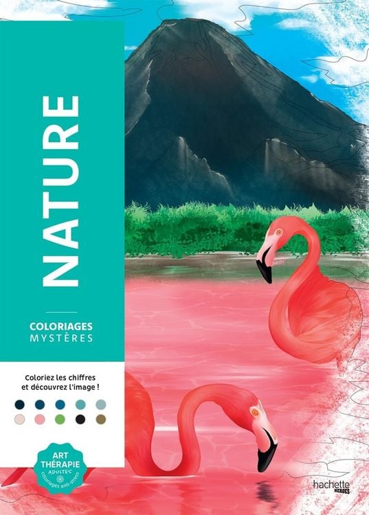 Produktbild: Carr&eacute;s magiques nature : 100 coloriages myst&egrave;res