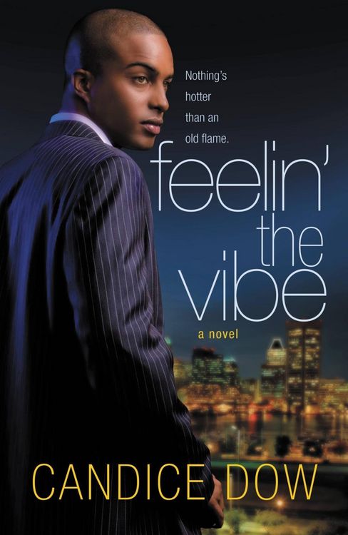 Produktbild: Feelin' the Vibe