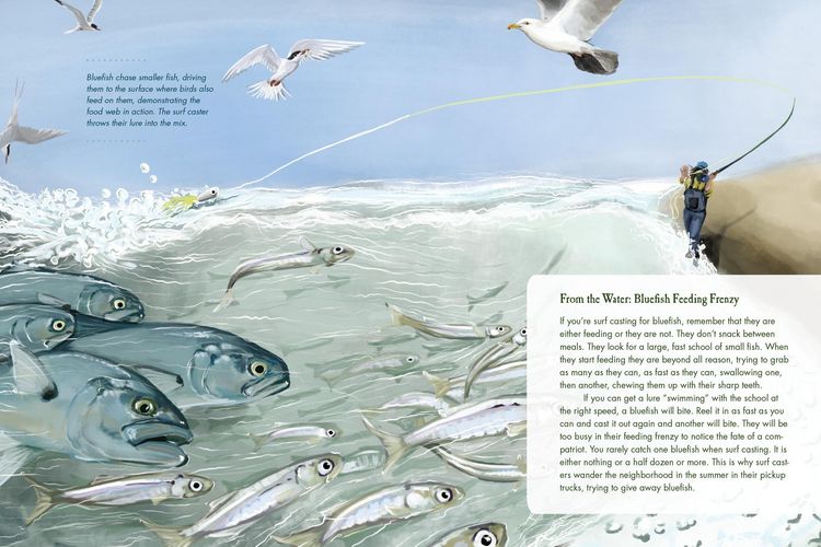 Produktbild: To Catch a Fish