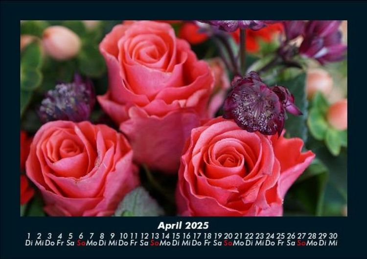 Produktbild: Rosen-Kalender 2025 Fotokalender DIN A5
