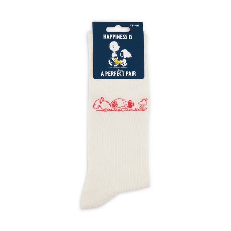Produktbild: Socken "Say Beagle!", Gr. 42-46