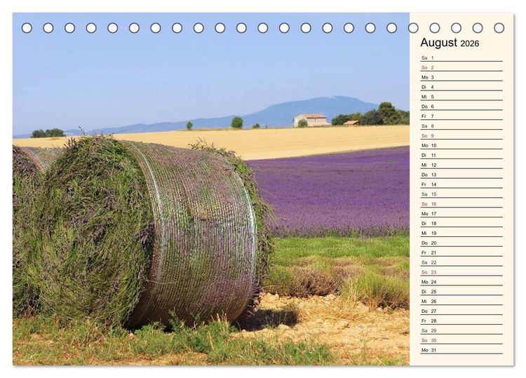Produktbild: Lavendel (Tischkalender 2026 DIN A5 quer), CALVENDO Monatskalender