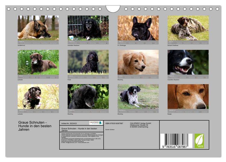 Produktbild: Graue Schnuten - Hunde in den besten Jahren (Wandkalender 2026 DIN A4 quer), CALVENDO Monatskalender