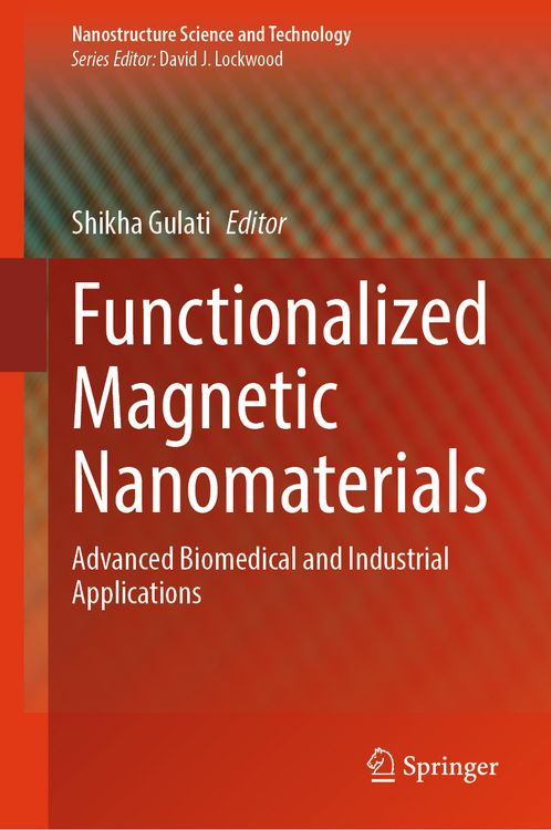 Produktbild: Functionalized Magnetic Nanomaterials