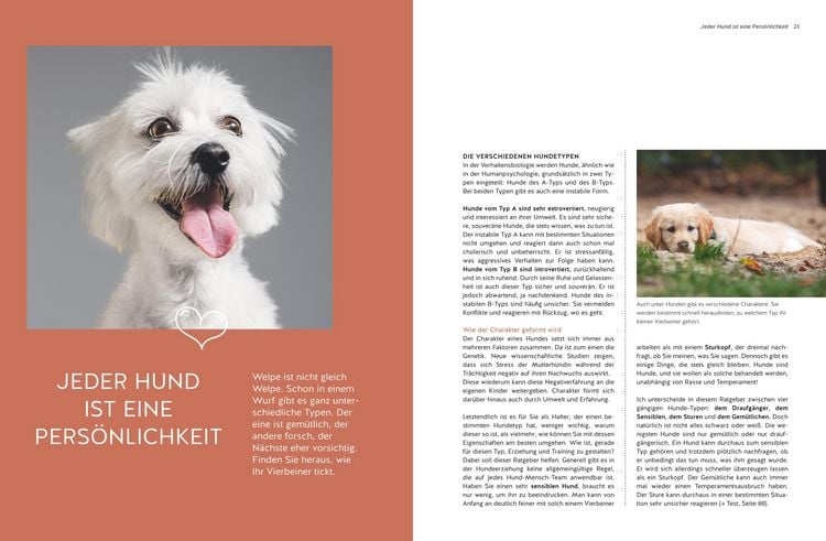 Produktbild: Typgerechtes Welpentraining