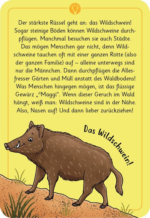 Produktbild: Expedition Natur 50 wundersame Tierr&auml;tsel