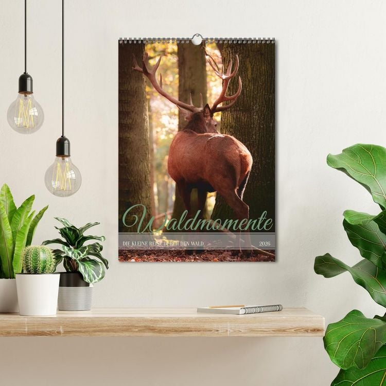 Produktbild: Waldmomente (Wandkalender 2026 DIN A3 hoch), CALVENDO Monatskalender