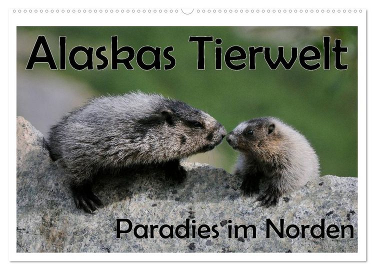 Produktbild: Alaskas Tierwelt - Paradies im Norden (Wandkalender 2026 DIN A2 quer), CALVENDO Monatskalender