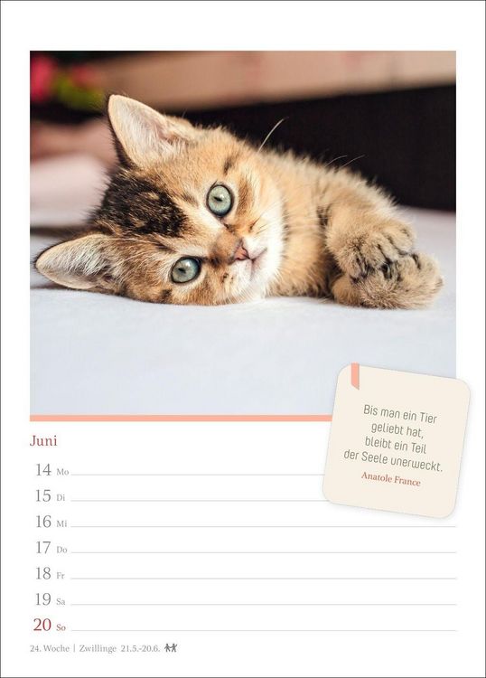 Produktbild: Katzengl&uuml;ck Wochenkalender 2027 - mit Zitaten