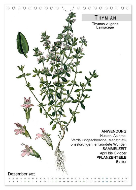 Produktbild: Heilpflanzen (Wandkalender 2026 DIN A4 hoch), CALVENDO Monatskalender