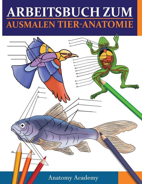 Produktbild: Arbeitsbuch Zum Ausmalen Tier-Anatomie