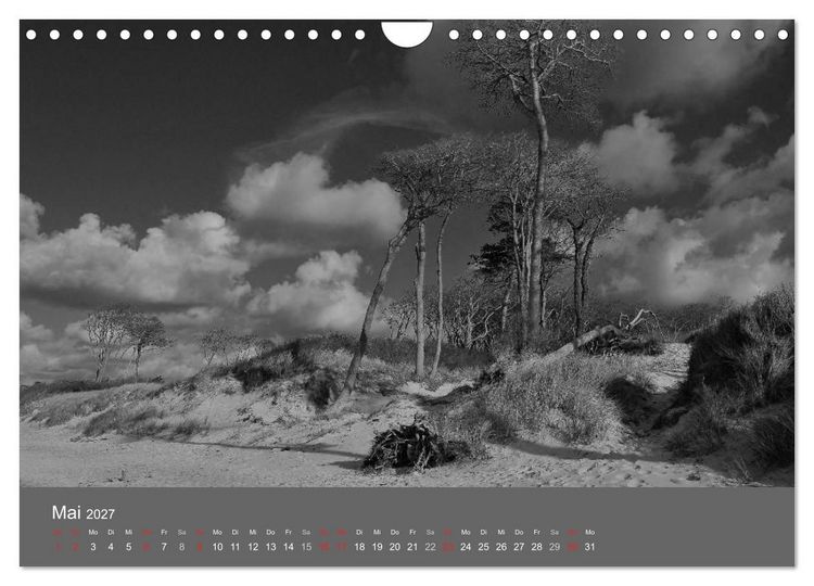 Produktbild: Ostsee - von schwarz bis wei&szlig; (Wandkalender 2027 DIN A4 quer), CALVENDO Monatskalender