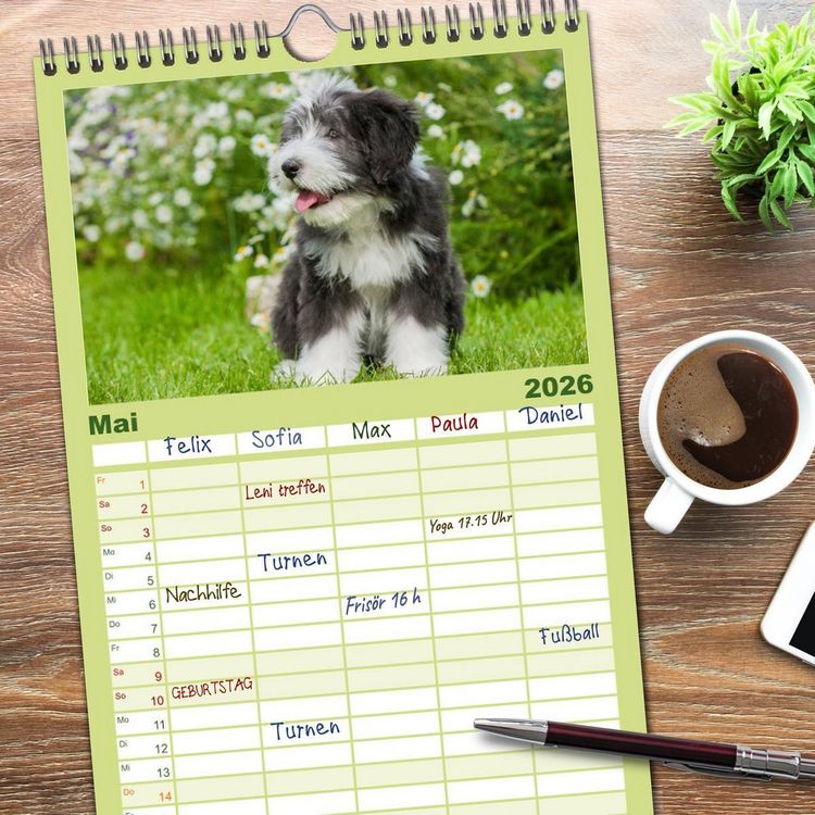 Produktbild: Familienplaner 2026 - Liebenswerter Clown Bearded Collie mit 5 Spalten (Wandkalender, 21 x 45 cm) CALVENDO
