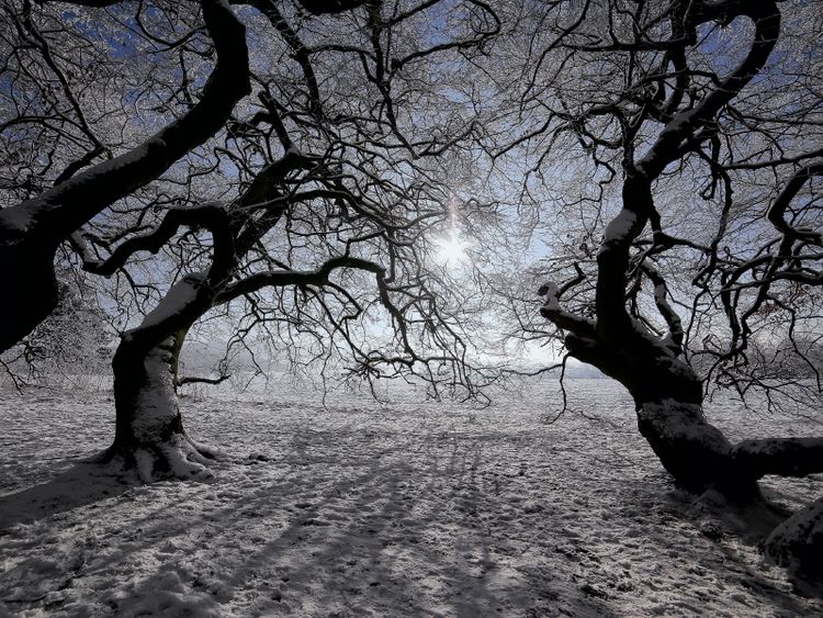 Produktbild: nach S&uuml;den zur Wintersonne (Puzzle)