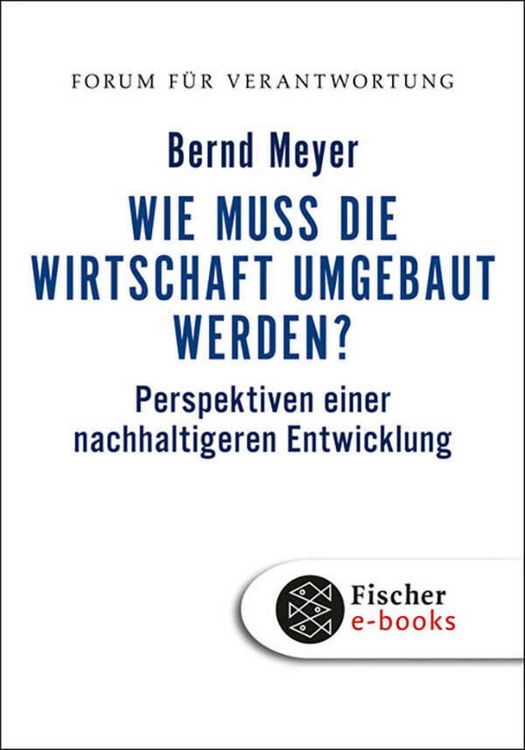 Produktbild: Wie muss die Wirtschaft umgebaut werden?