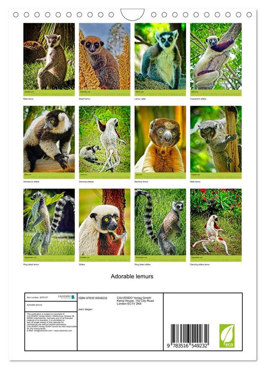 Produktbild: Adorable lemurs (Wall Calendar 2026 DIN A4 portrait), CALVENDO 12 Month Wall Calendar