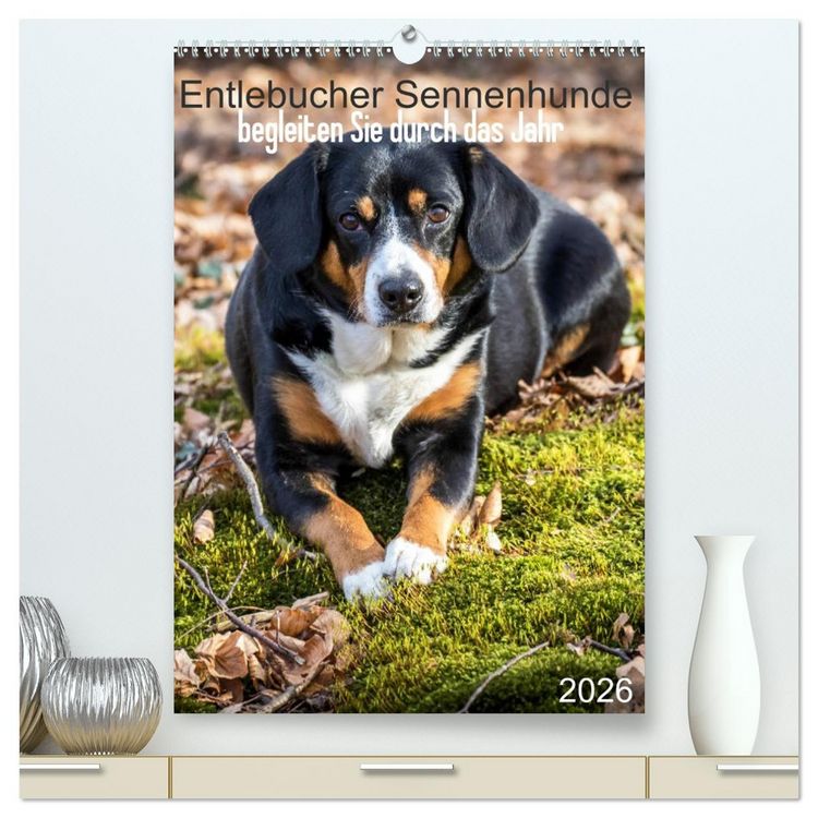 Produktbild: Entlebucher Sennenhunde begleiten Sie durch das Jahr (hochwertiger Premium Wandkalender 2026 DIN A2 hoch), Kunstdruck in Hochglanz