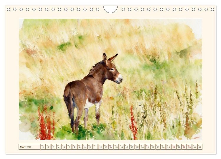 Produktbild: Esel - Treue Begleiter seit &uuml;ber 5000 Jahren (Wandkalender 2027 DIN A4 quer), CALVENDO Monatskalender