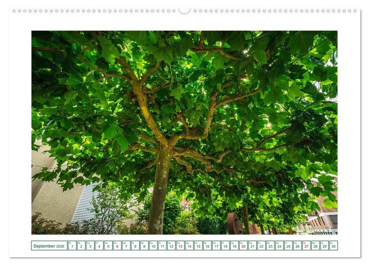 Produktbild: Gottmadingen im Hegau (hochwertiger Premium Wandkalender 2026 DIN A2 quer), Kunstdruck in Hochglanz